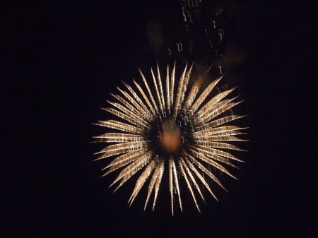 fireworks-7-4-08-4