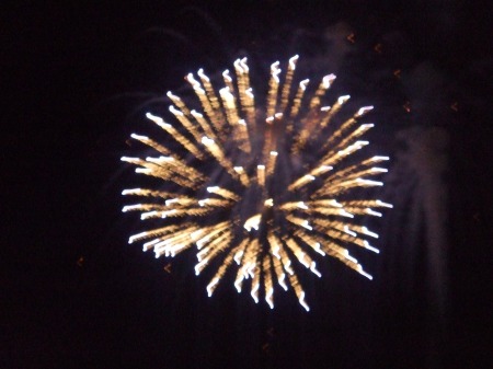 fireworks-over-kentwood7-04-08